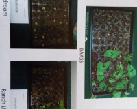 normal_thumbnail_286290