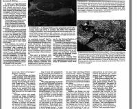 48333230_626107597804044_8143630435600039936_n