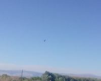 41637539_329957911085252_7242419943256358912_n