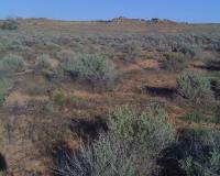 l_fe4f67d3987246bbb70ada30d4836930