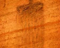 normal_3634645068_c539833785_o