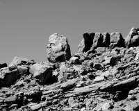 128612915_10218568867592701_510623056715920950_o