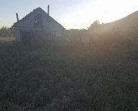 13427883_10208067813306026_6280975438858263233_n