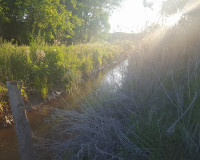 13445305_10208067805105821_6131105167841280205_n