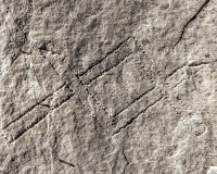 IMG_8817_28129_28129112