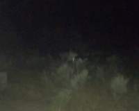 closeup of a orb at skinwalker