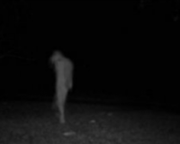 screen shot of a supposed entity